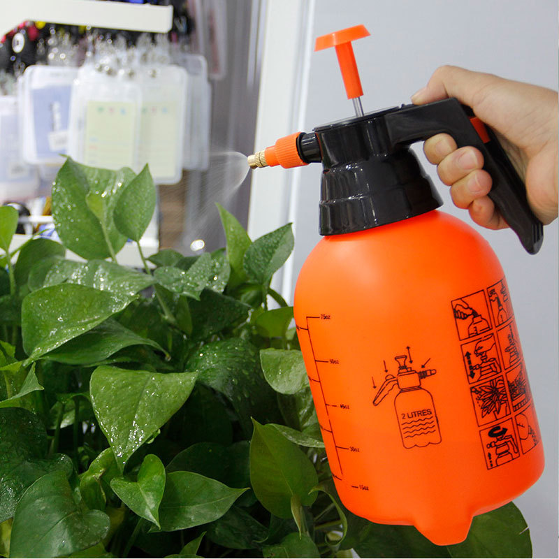 19954695358_503860155